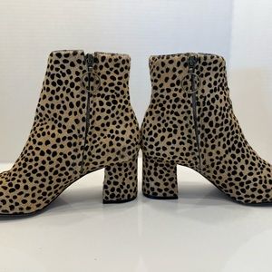 Able Calf Hair Cheetah Print Ankle Boots
